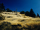 Washington Park